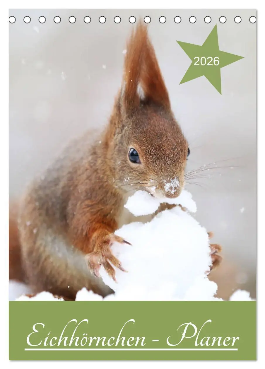 Cover: 9783516413908 | Eichhörnchen - Planer (Tischkalender 2026 DIN A5 hoch), CALVENDO...