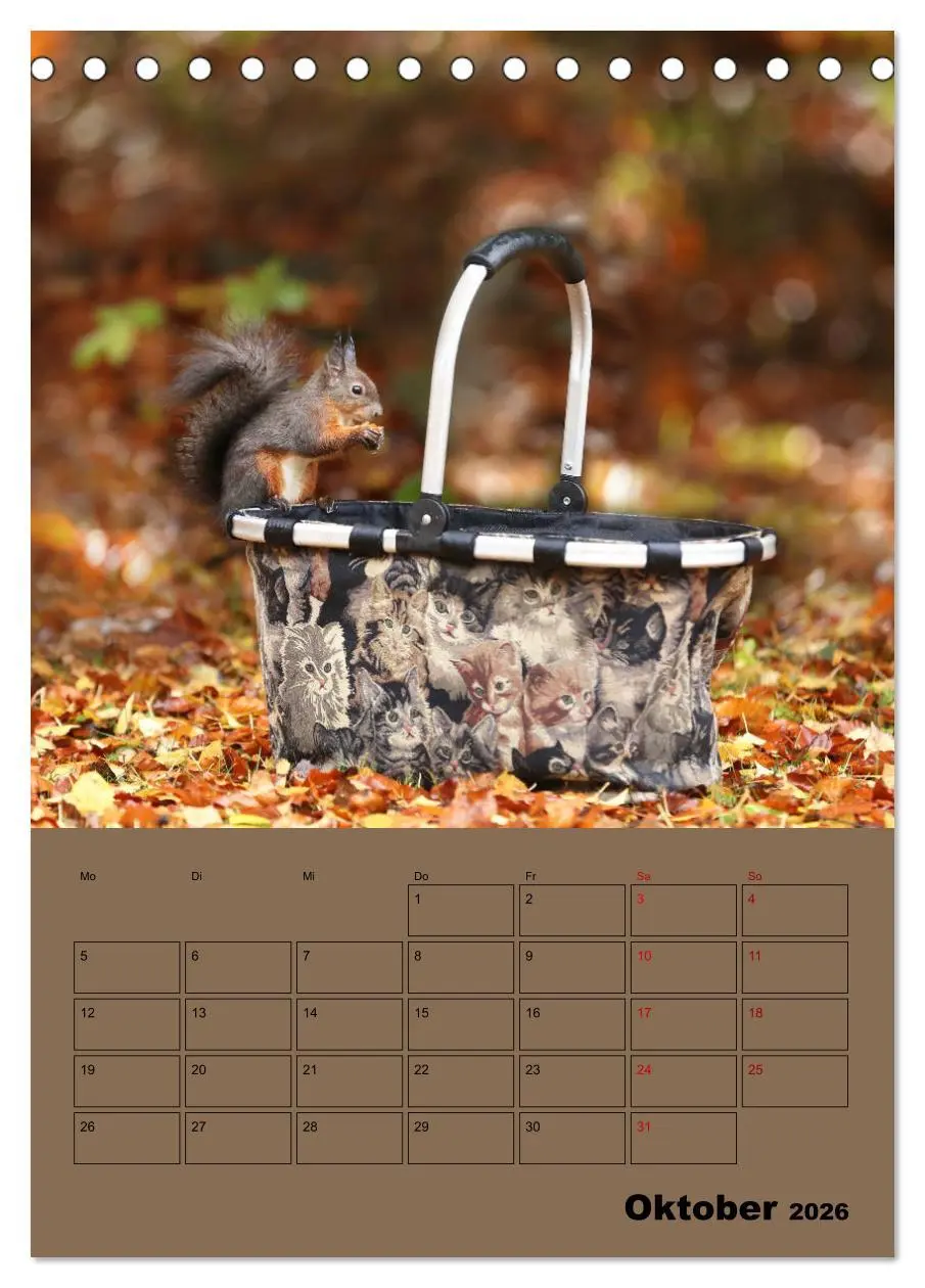 Bild: 9783516413908 | Eichhörnchen - Planer (Tischkalender 2026 DIN A5 hoch), CALVENDO...