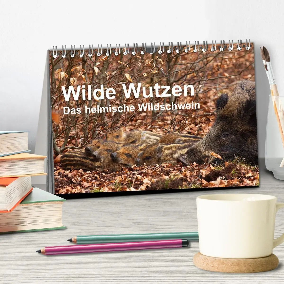 Bild: 9783594013908 | Wilde Wutzen. Das heimische Wildschwein (Tischkalender 2027 DIN A5...
