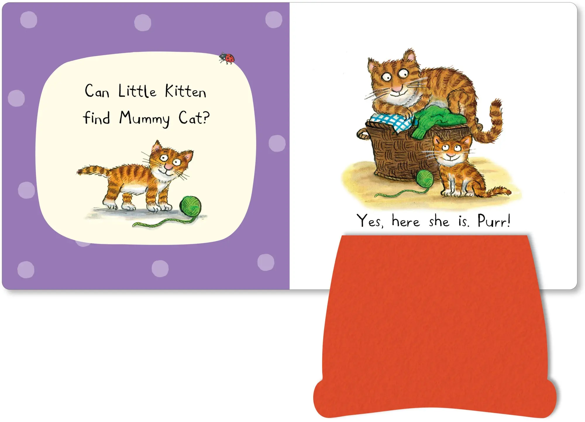 Bild: 9781035054008 | Can You Find Mummy? | A soft flaps book for babies | Campbell Books