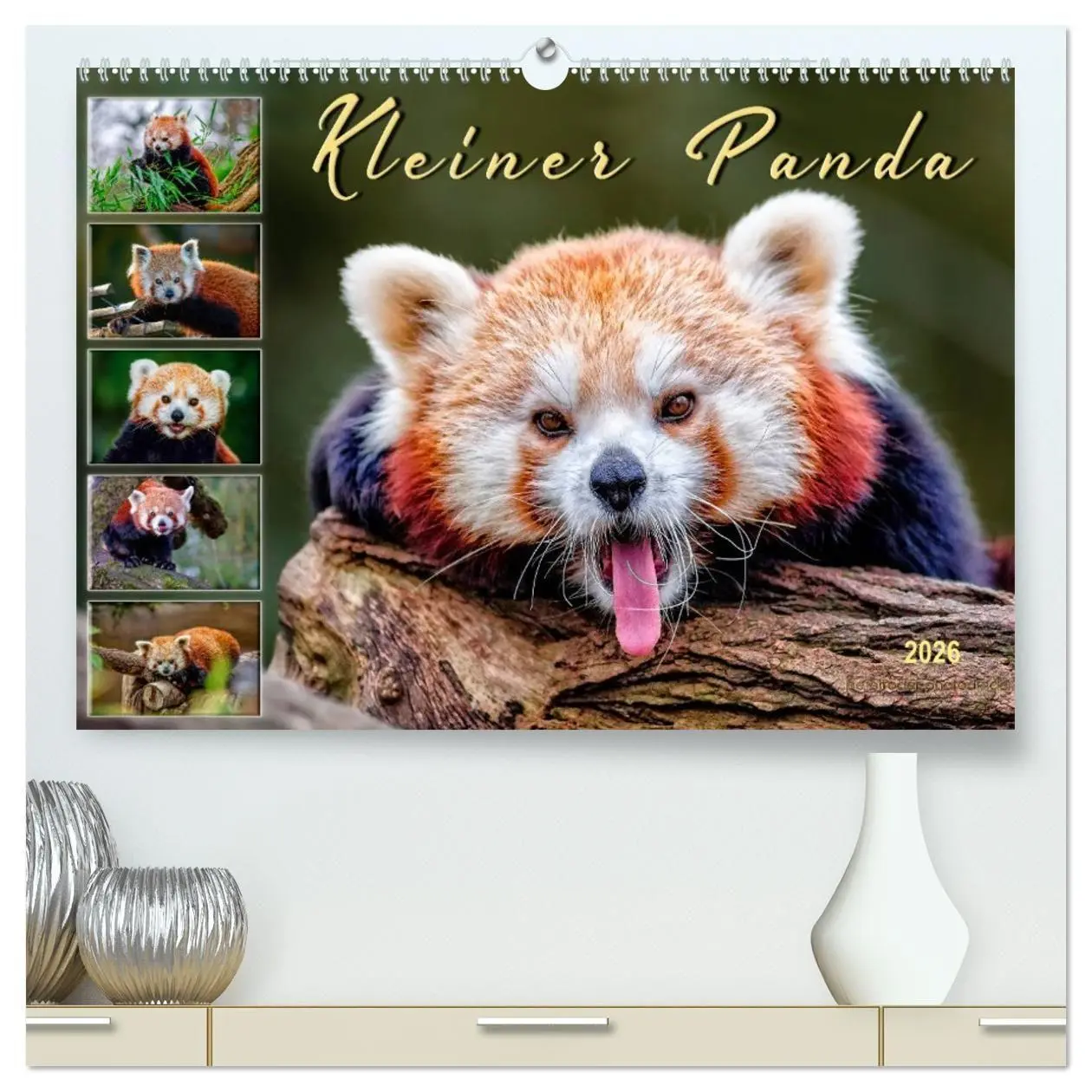 Cover: 9783457764008 | Kleiner Panda (hochwertiger Premium Wandkalender 2026 DIN A2 quer),...