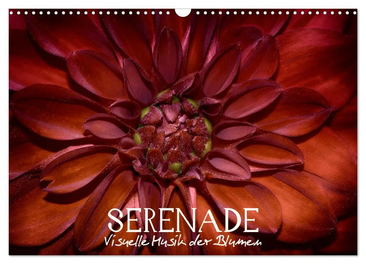 Cover: 9783516094008 | Serenade - Visuelle Musik der Blumen (Wandkalender 2026 DIN A3...
