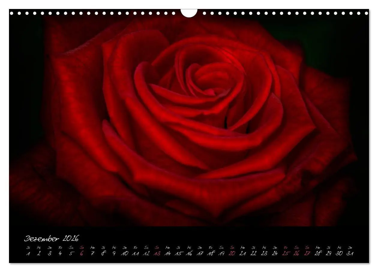Bild: 9783516094008 | Serenade - Visuelle Musik der Blumen (Wandkalender 2026 DIN A3...