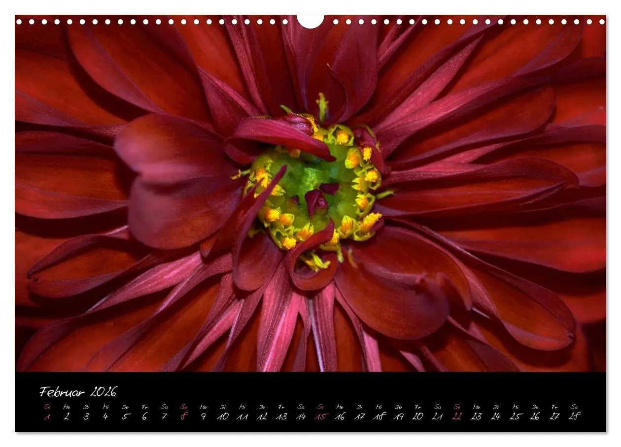 Bild: 9783516094008 | Serenade - Visuelle Musik der Blumen (Wandkalender 2026 DIN A3...