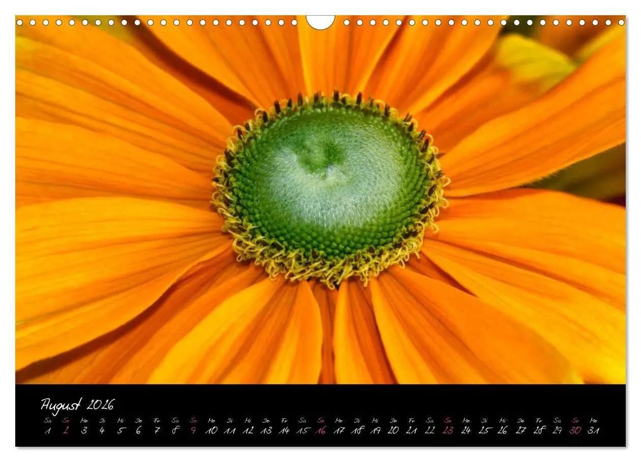 Bild: 9783516094008 | Serenade - Visuelle Musik der Blumen (Wandkalender 2026 DIN A3...