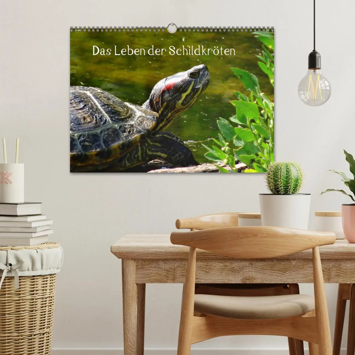 Bild: 9783516164008 | Das Leben der Schildkröten (Wandkalender 2026 DIN A3 quer),...