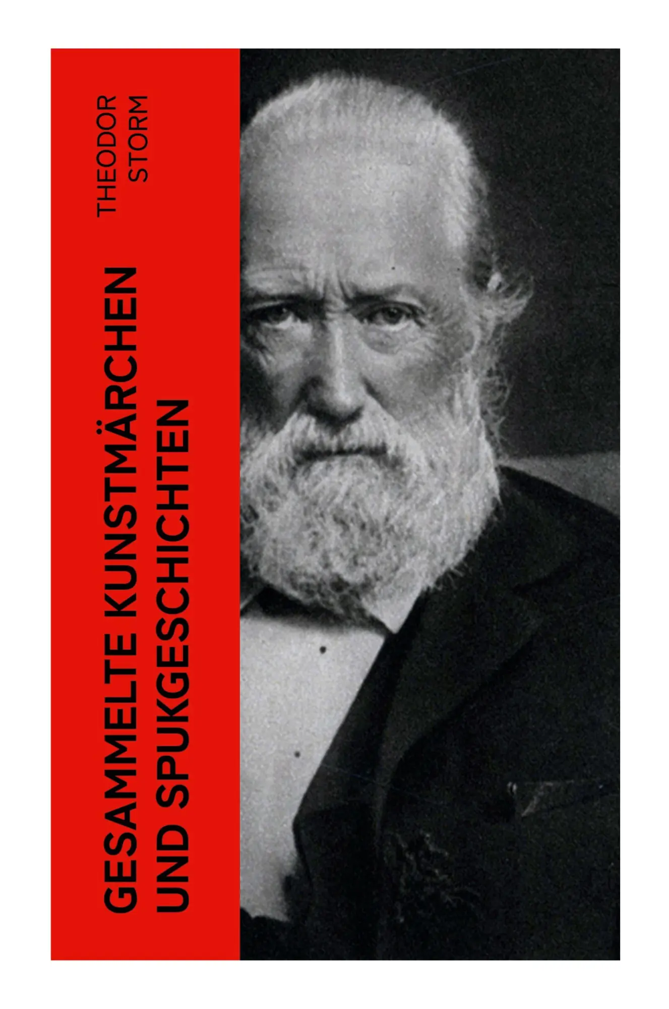Cover: 9788027364008 | Gesammelte Kunstmärchen und Spukgeschichten | Theodor Storm | Buch