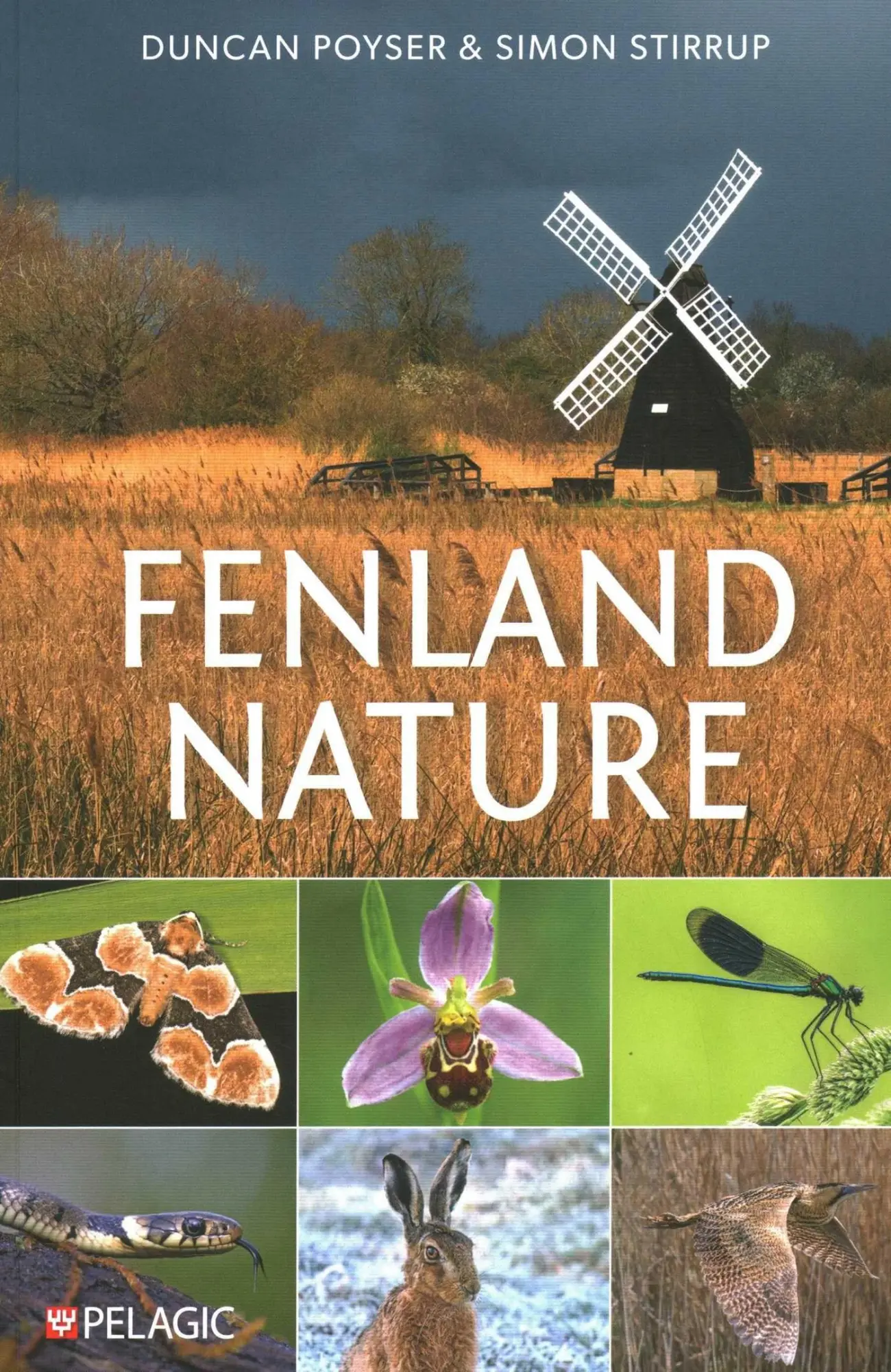 Cover: 9781784274108 | Fenland Nature | Duncan Poyser (u. a.) | Taschenbuch | Englisch | 2025