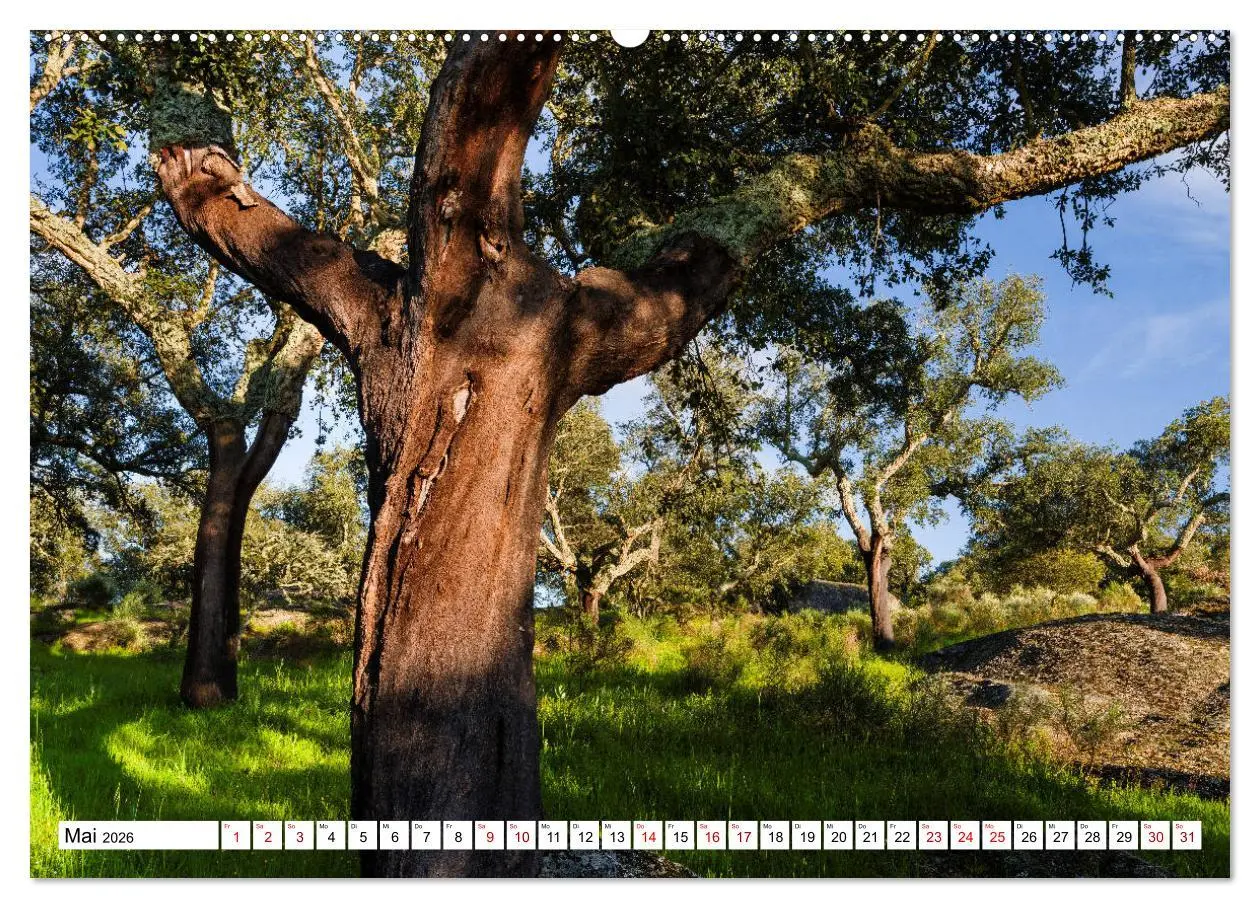 Bild: 9783457684108 | Alentejo - das romantische Portugal (Wandkalender 2026 DIN A2...