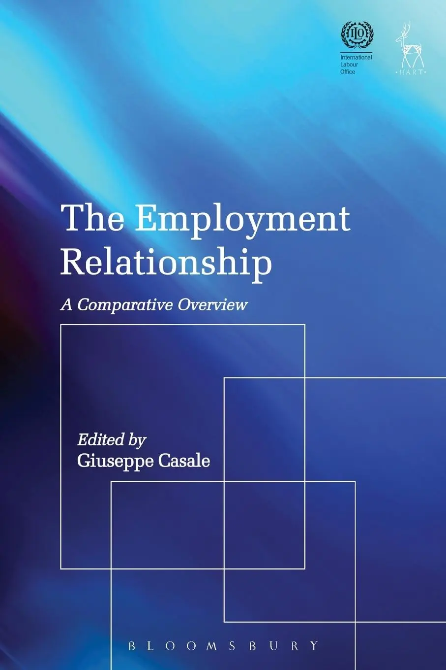 Cover: 9781841134208 | The Employment Relationship | A Comparative Overview | Giuseppe Casale