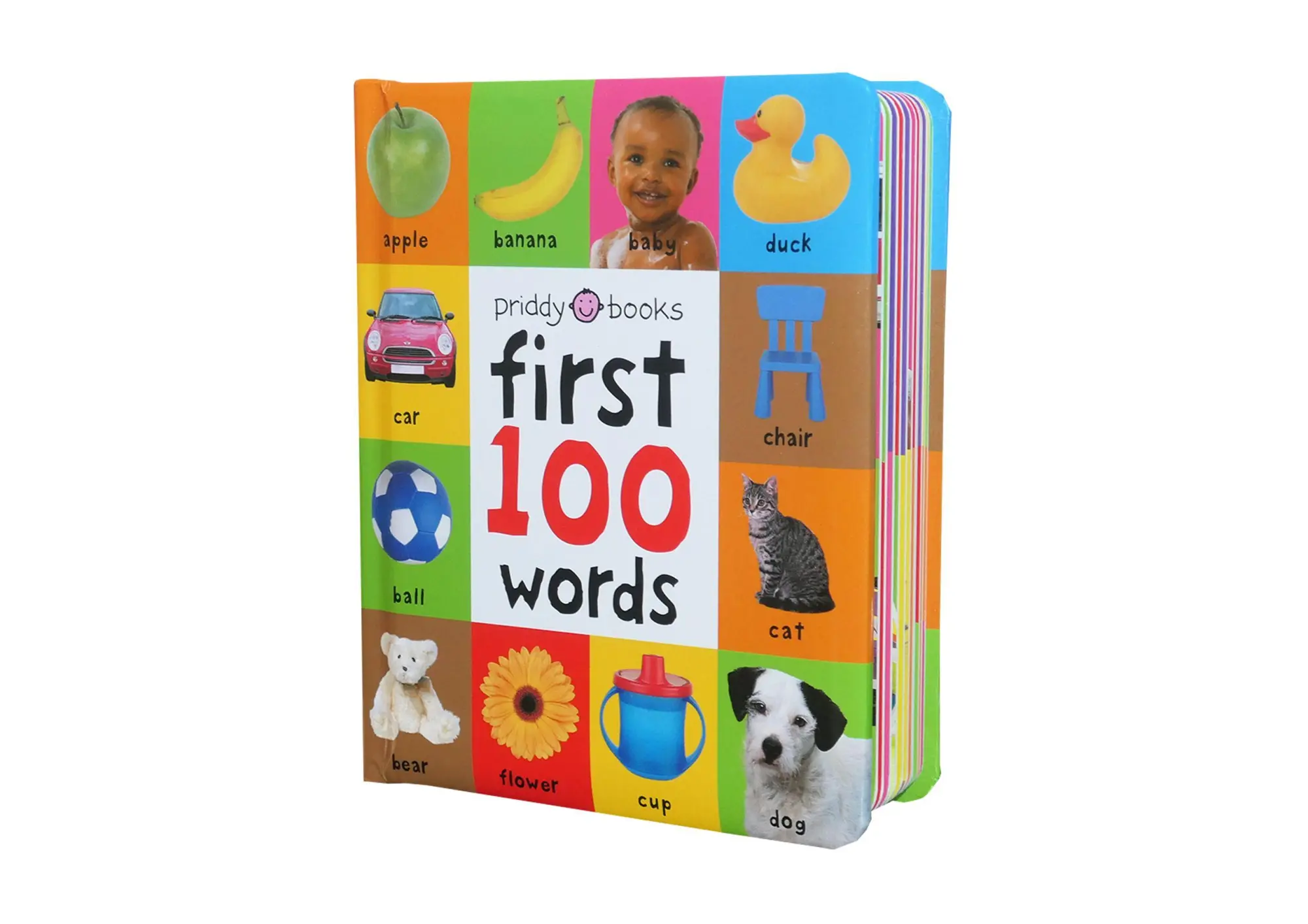 Bild: 9781849154208 | First 100 Words | Priddy Books (u. a.) | Buch | Gebunden | Englisch