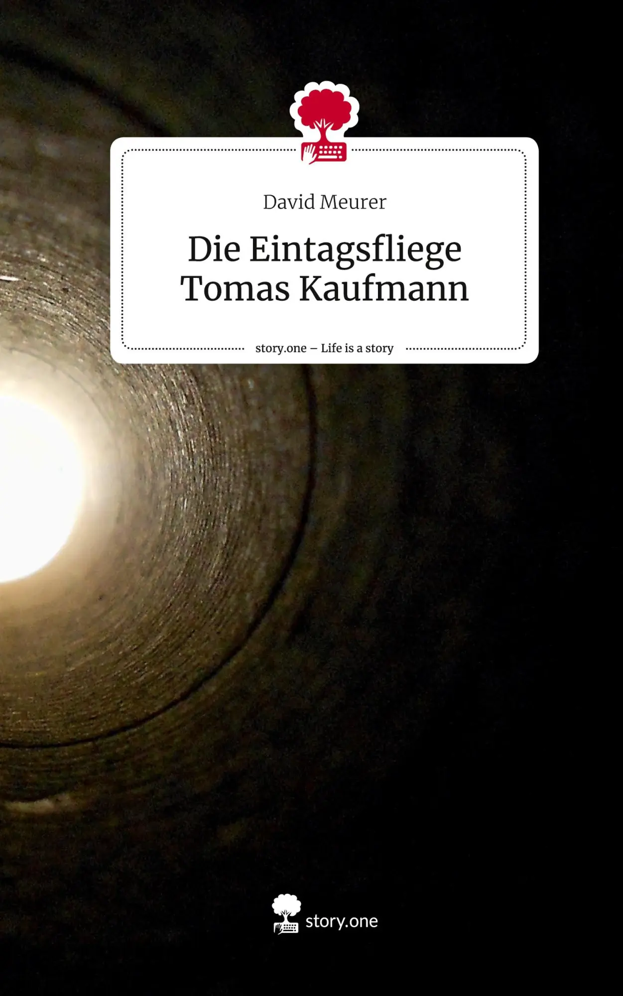 Cover: 9783710874208 | Die Eintagsfliege Tomas Kaufmann. Life is a Story - story.one | Meurer