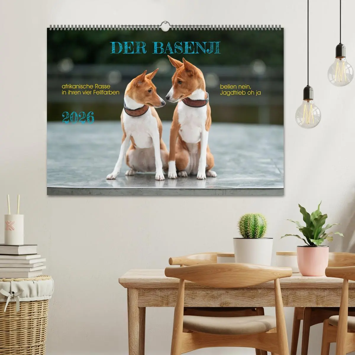 Bild: 9783457354308 | Der Basenji (Wandkalender 2026 DIN A2 quer), CALVENDO Monatskalender