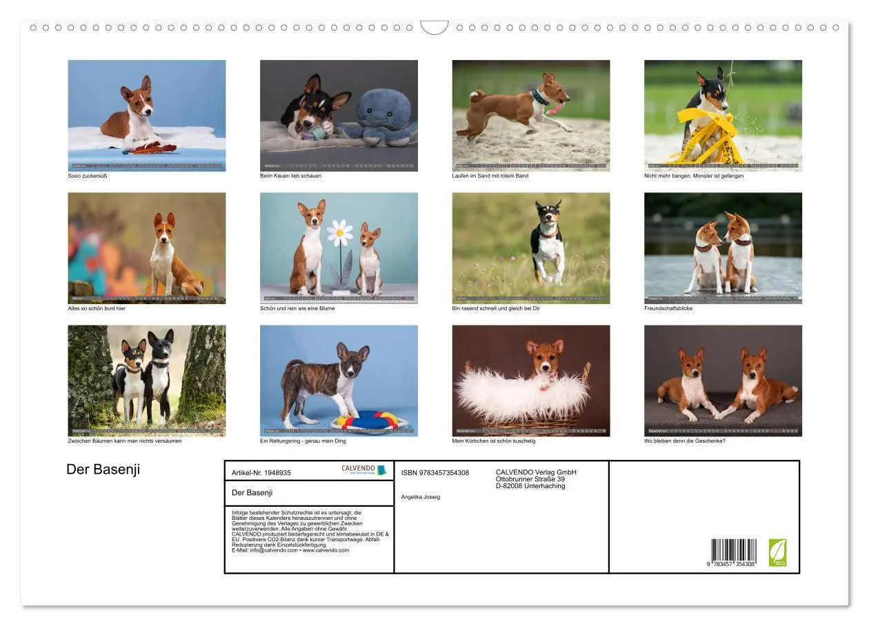 Bild: 9783457354308 | Der Basenji (Wandkalender 2026 DIN A2 quer), CALVENDO Monatskalender