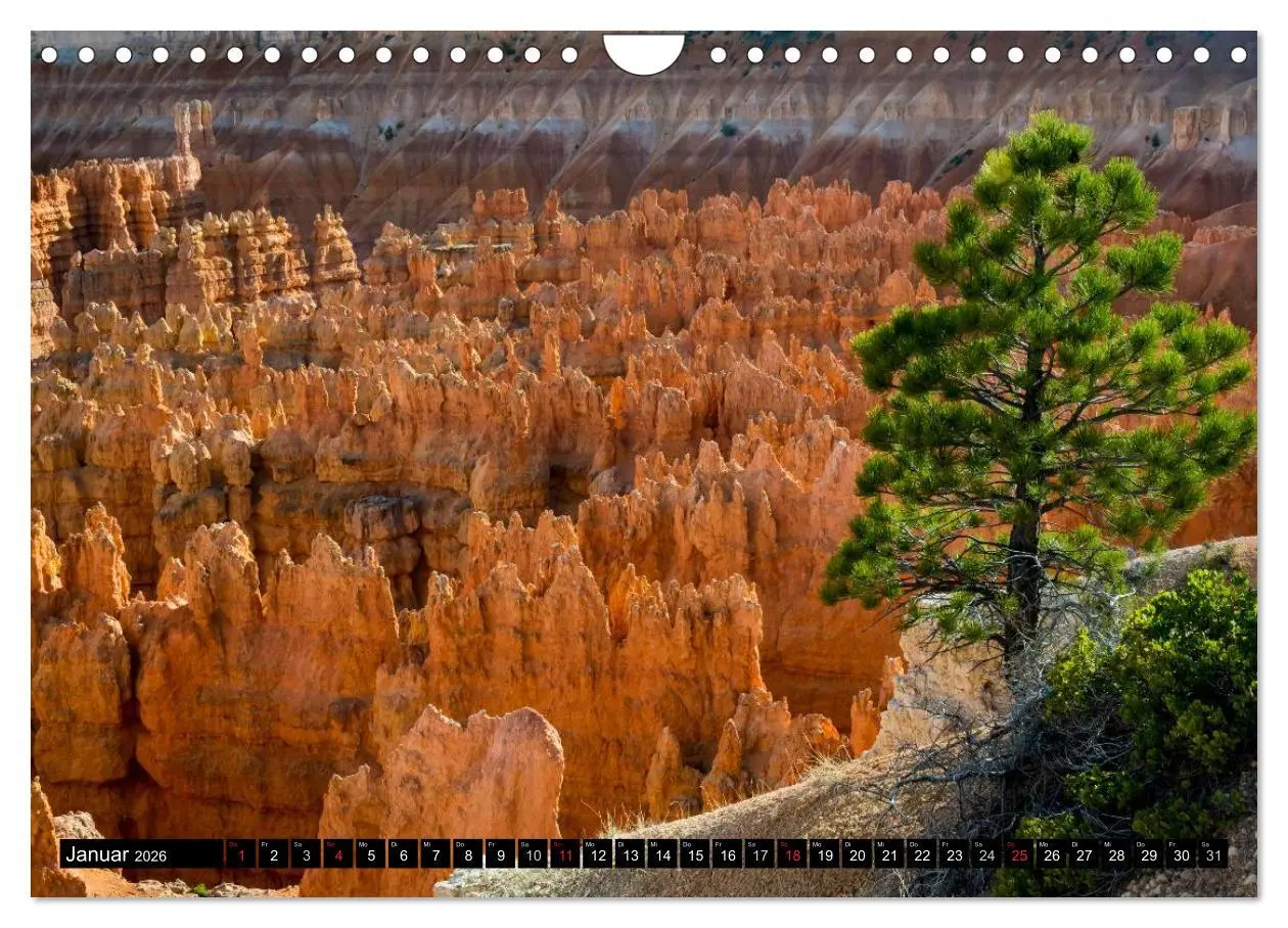 Bild: 9783516124408 | USA Der faszinierende Südwesten (Wandkalender 2026 DIN A4 quer),...
