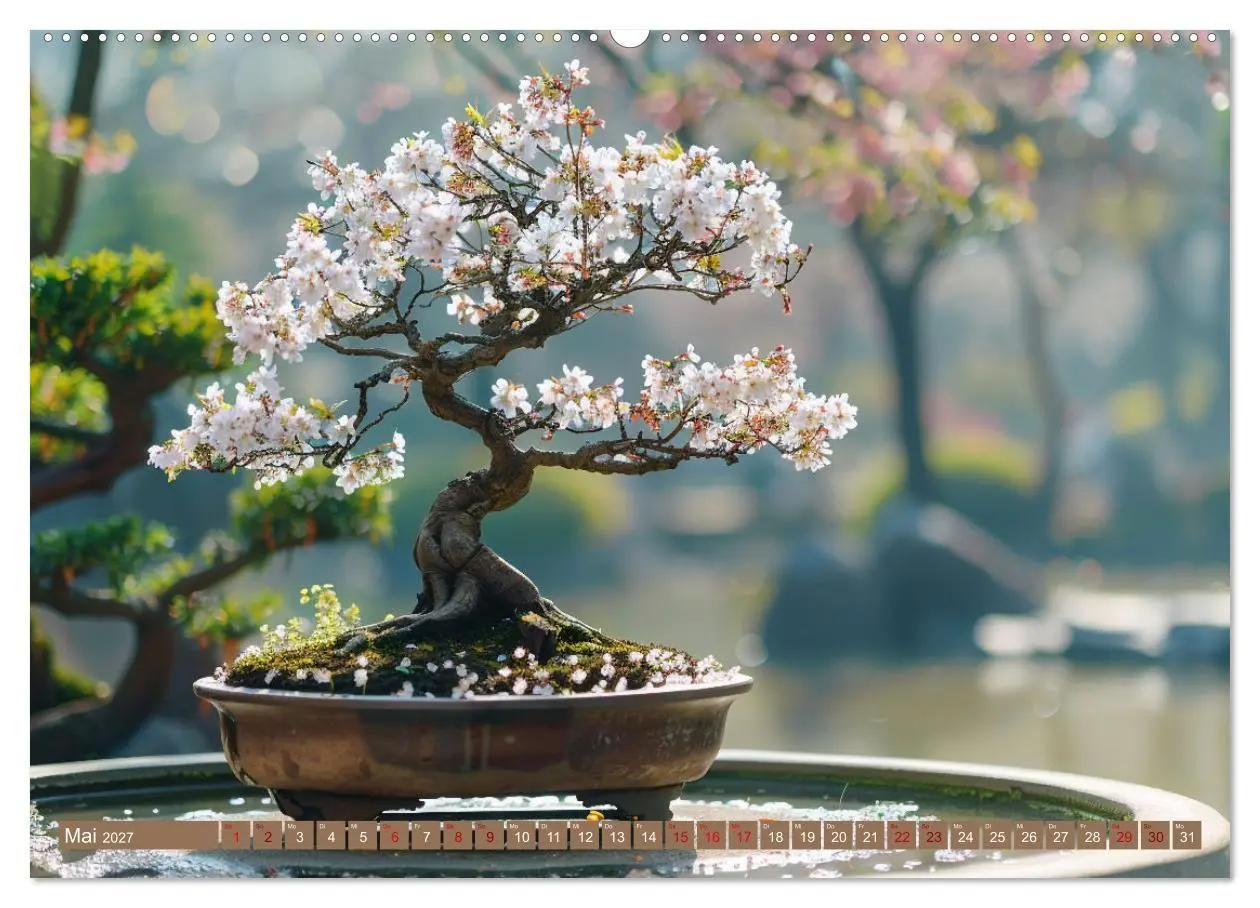 Bild: 9783569144408 | Bonsai meditativ (Wandkalender 2027 DIN A2 quer), CALVENDO...