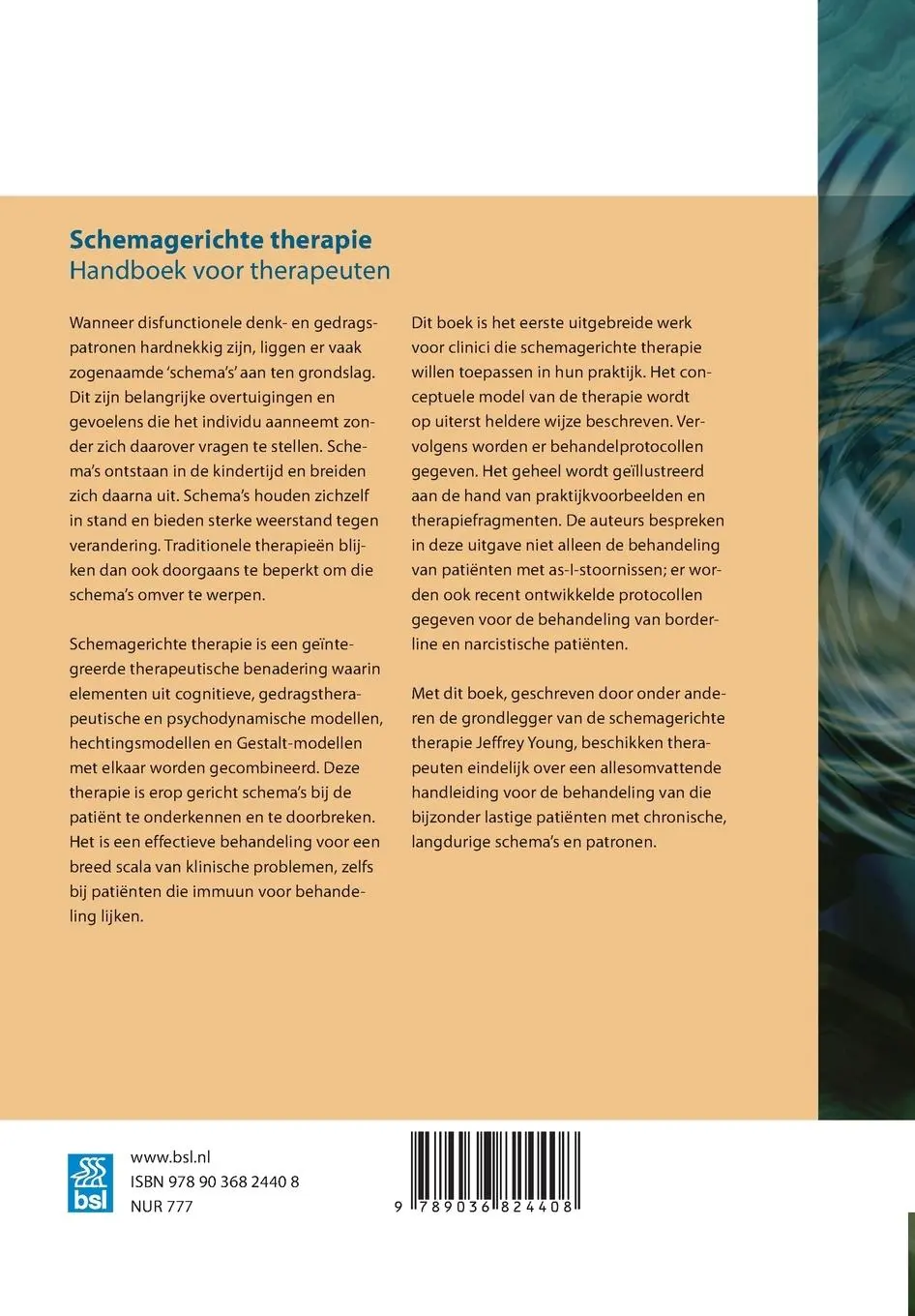 Rückseite: 9789036824408 | Schemagerichte therapie | Handboek voor therapeuten | Young (u. a.)