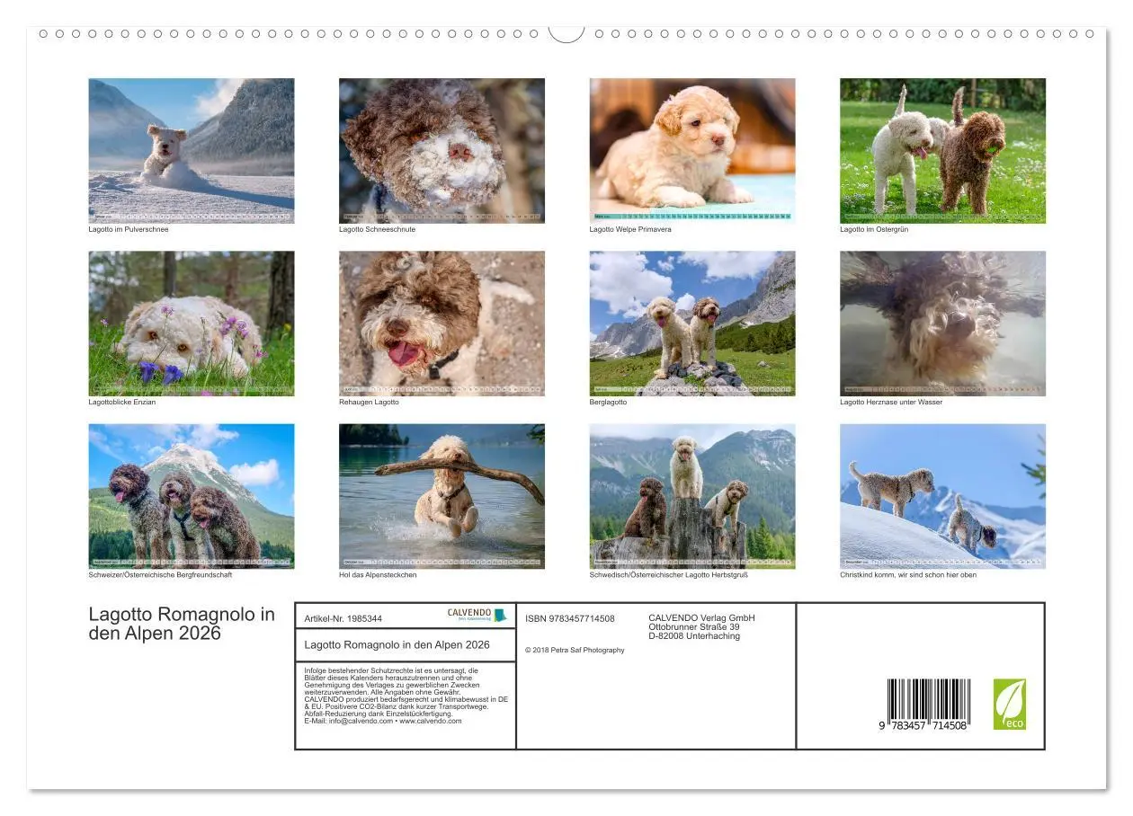 Bild: 9783457714508 | Lagotto Romagnolo in den Alpen 2026 (hochwertiger Premium...