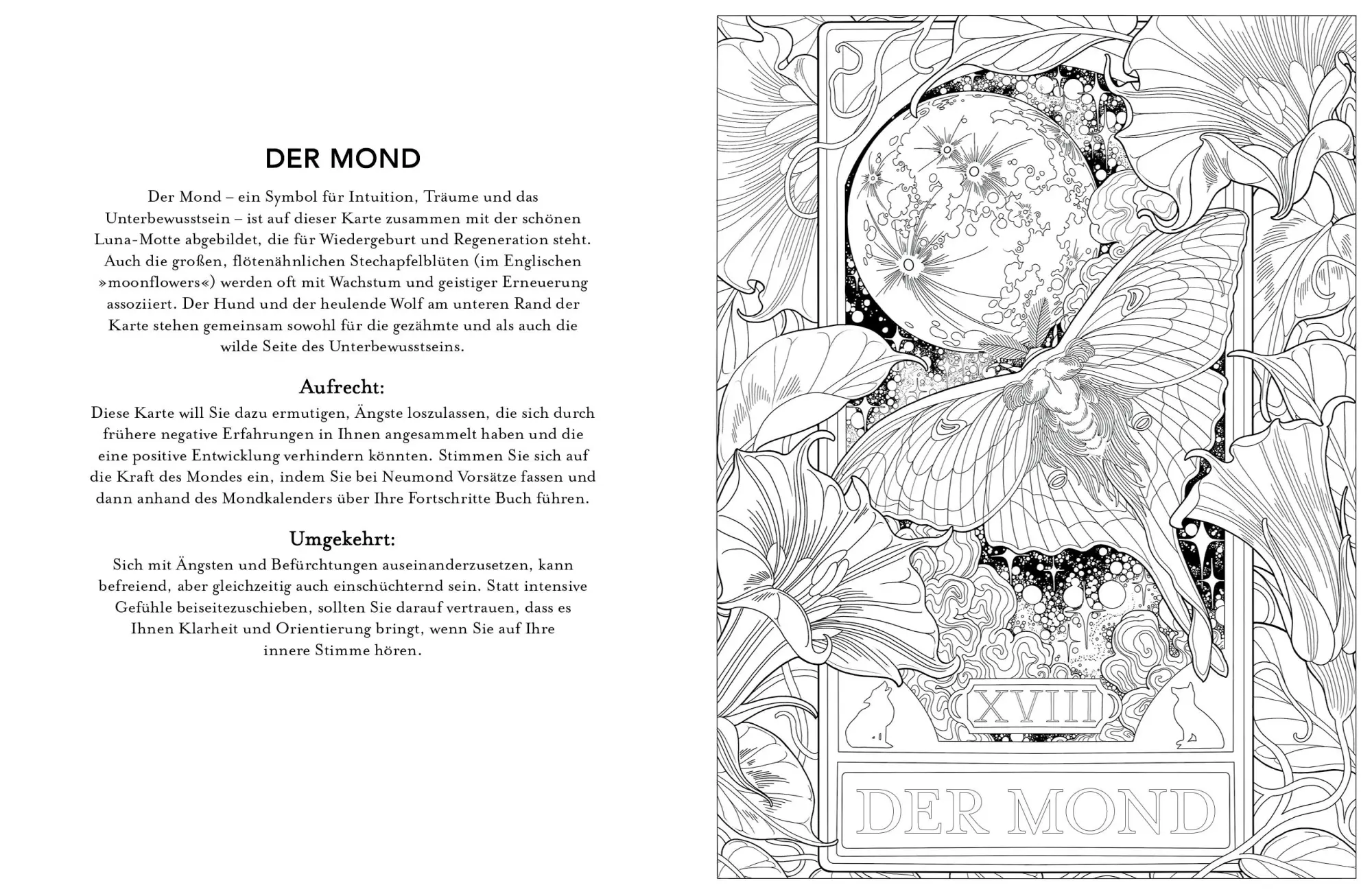 Bild: 9783747404508 | Tarot-Malbuch | Alexis E. Thomson | Taschenbuch | 96 S. | Deutsch