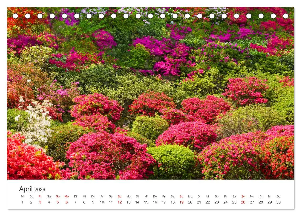 Bild: 9783457634608 | Gärten in Japan (Tischkalender 2026 DIN A5 quer), CALVENDO...