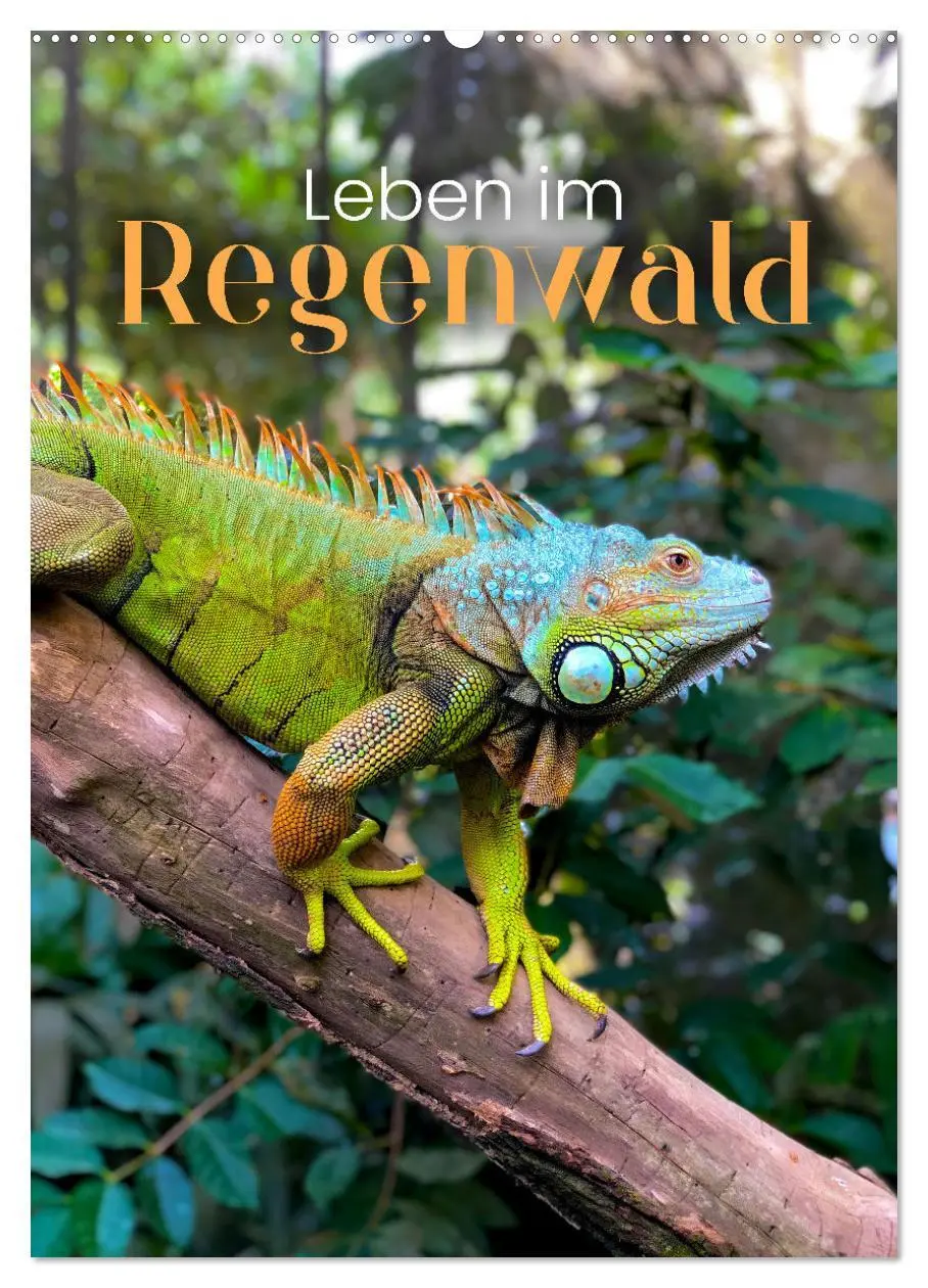 Cover: 9783516334708 | Leben im Regenwald (Wandkalender 2026 DIN A2 hoch), CALVENDO...