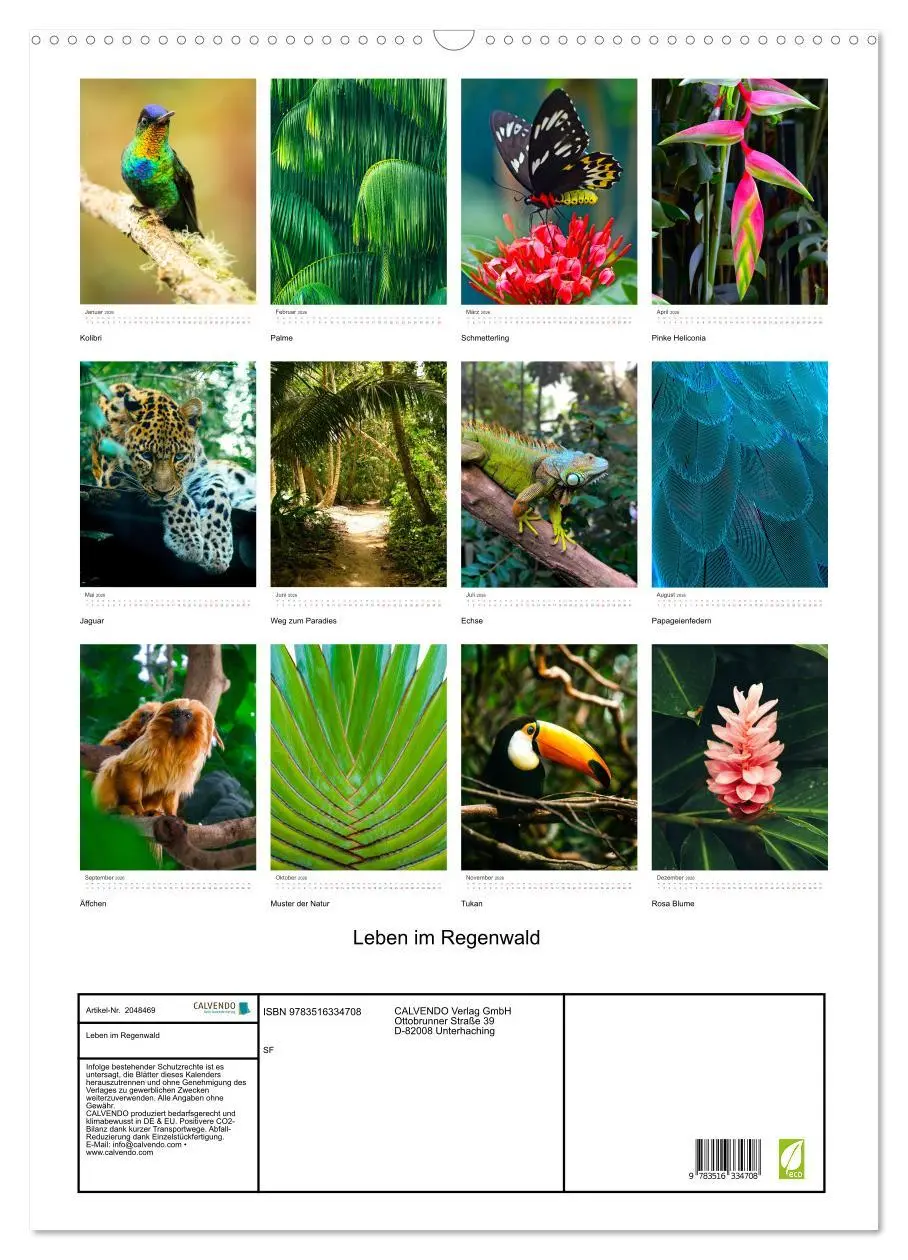 Bild: 9783516334708 | Leben im Regenwald (Wandkalender 2026 DIN A2 hoch), CALVENDO...