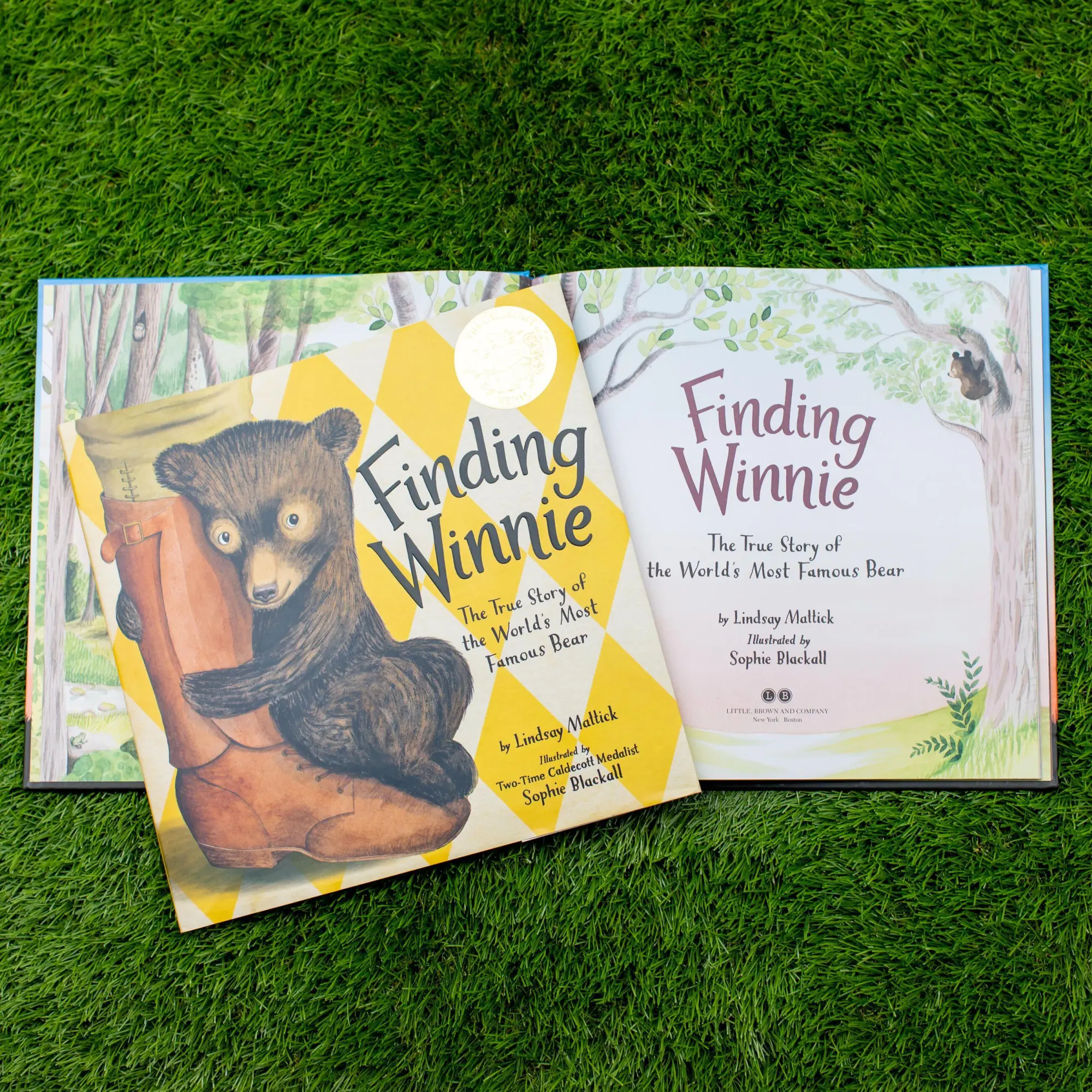 Bild: 9780316324908 | Finding Winnie | Lindsay Mattick | Buch | Gebunden | Englisch | 2015