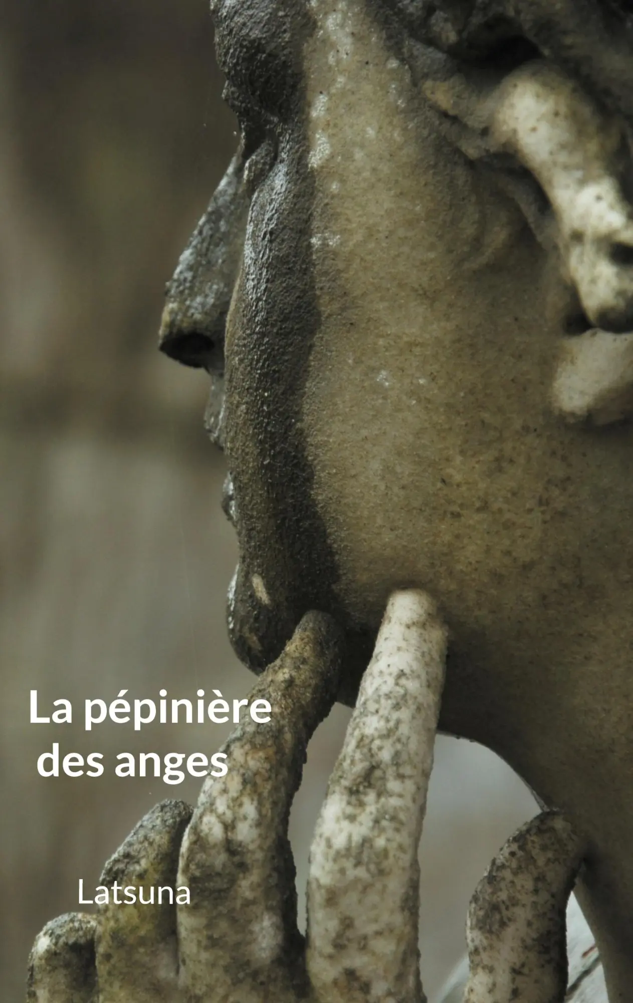 Cover: 9782322444908 | La pépinière des anges | Franck Schrafstetter | Taschenbuch | 2022