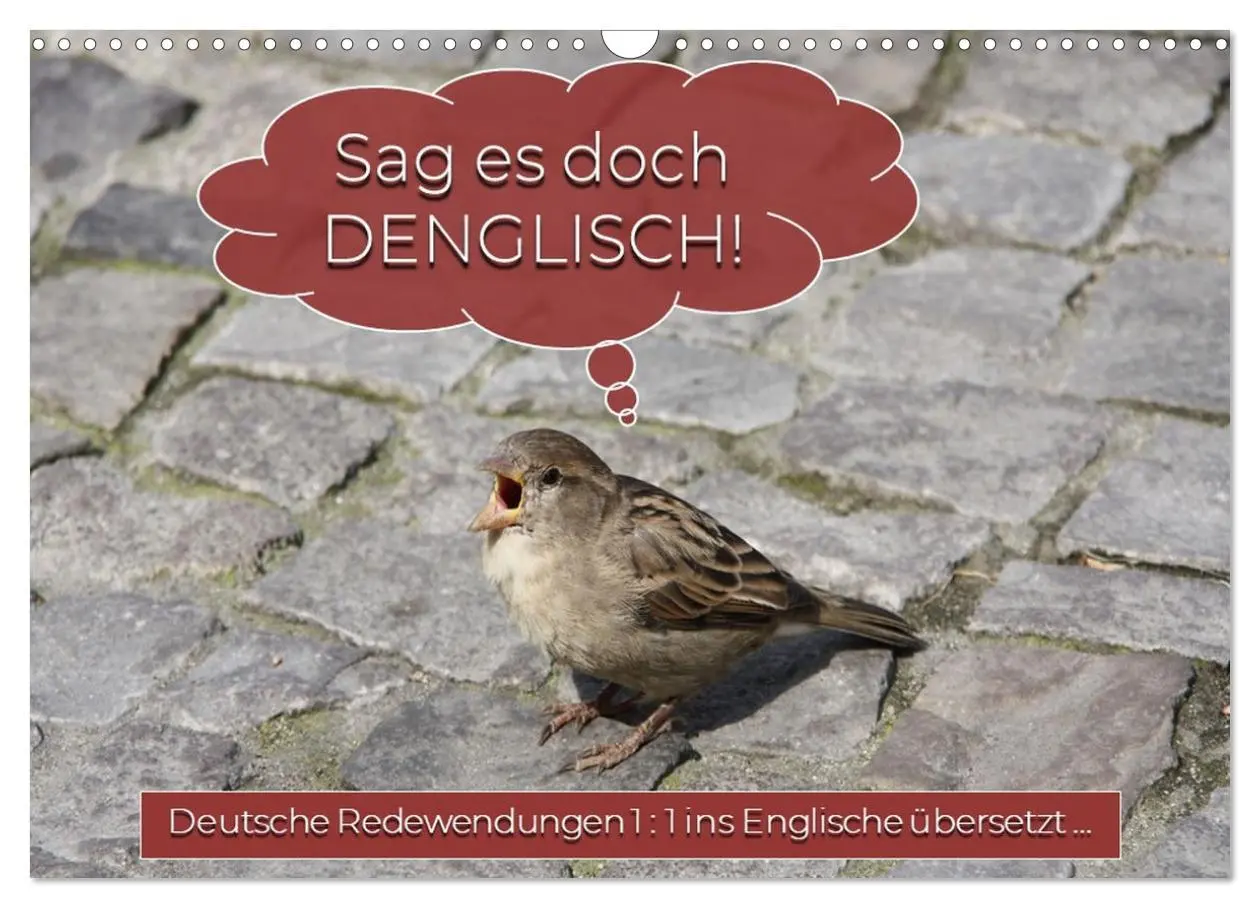 Cover: 9783457914908 | Sag es doch DENGLISCH (Wandkalender 2026 DIN A3 quer), CALVENDO...