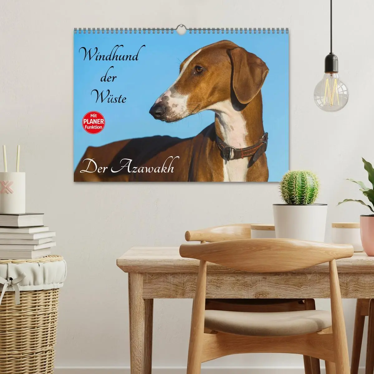 Bild: 9783516004908 | Windhund der Wüste - Der Azawakh (Wandkalender 2026 DIN A3 quer),...