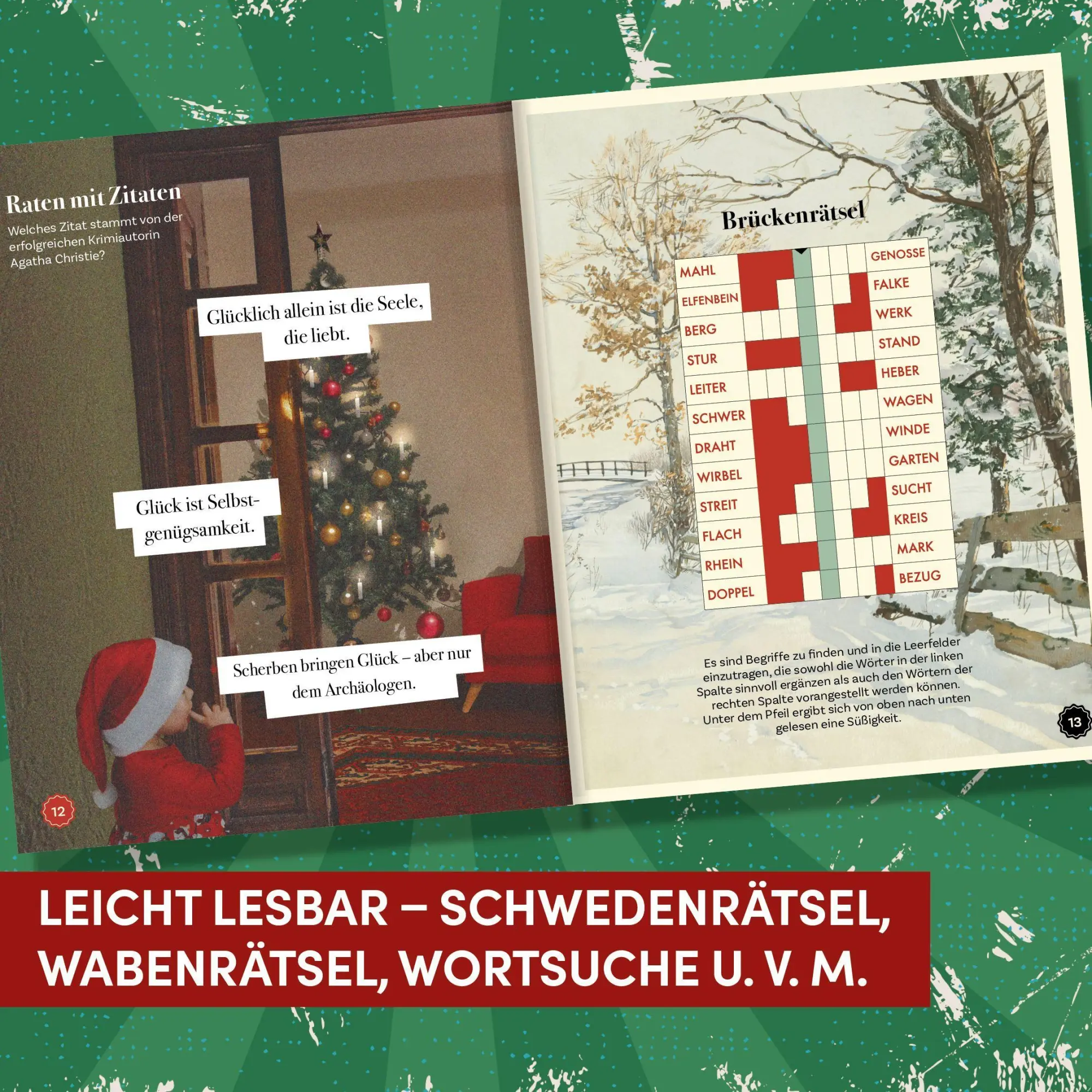 Bild: 9783735855008 | Das Rentner-Rätselbuch - Adventskalender | Stefan Heine | Taschenbuch
