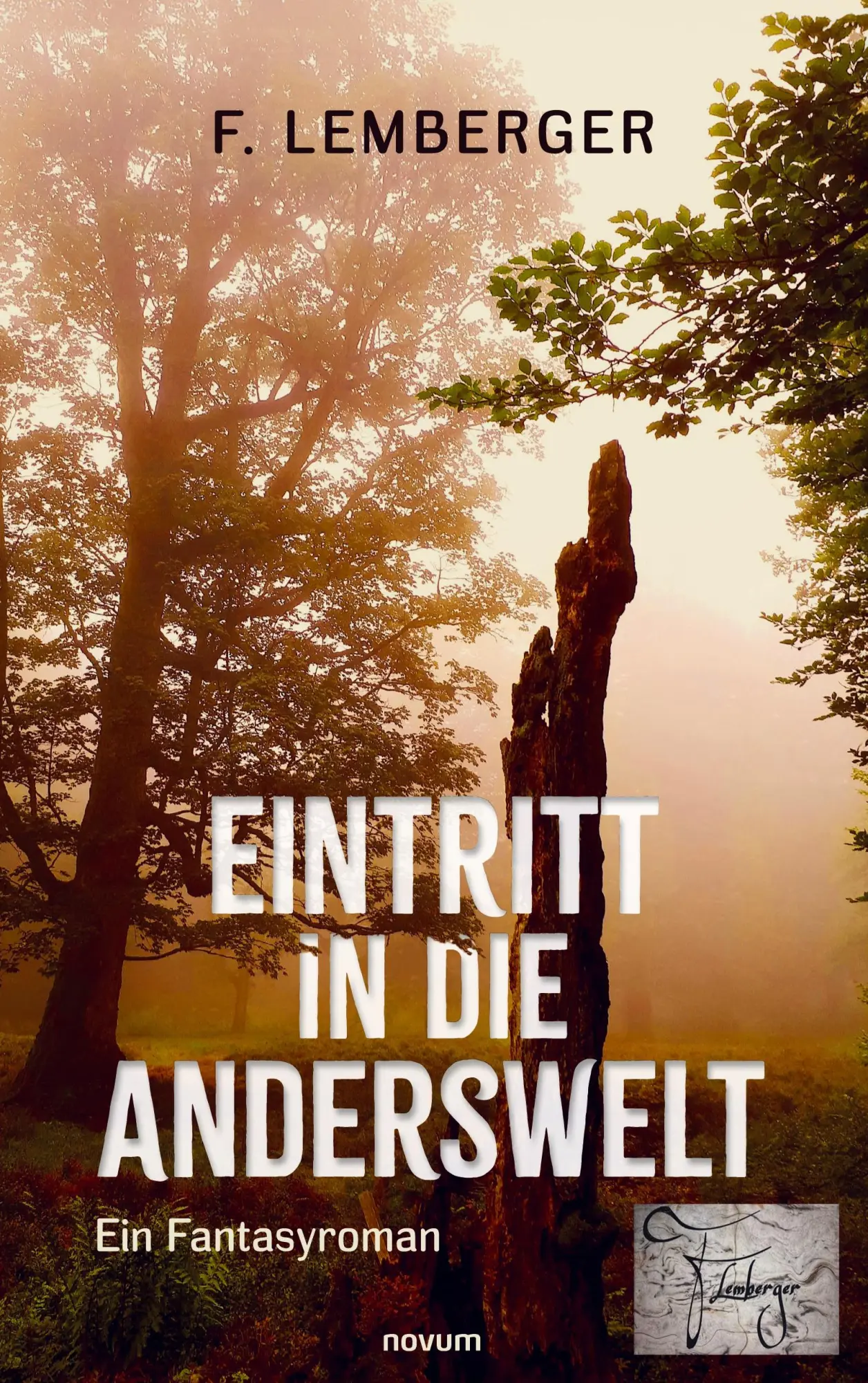 Cover: 9783711605108 | Eintritt in die Anderswelt | Ein Fantasyroman | F. Lemberger | Buch