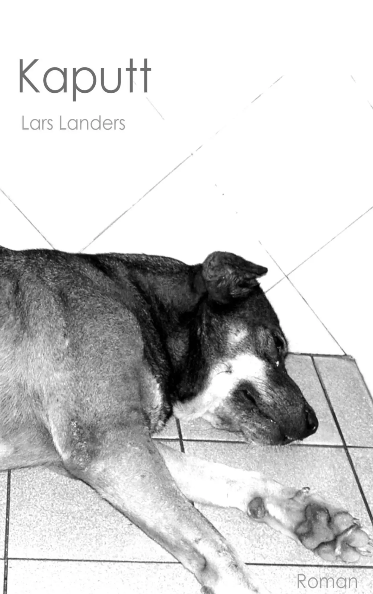 Cover: 9783735775108 | Kaputt | Lars Landers | Taschenbuch | 172 S. | Deutsch | 2015