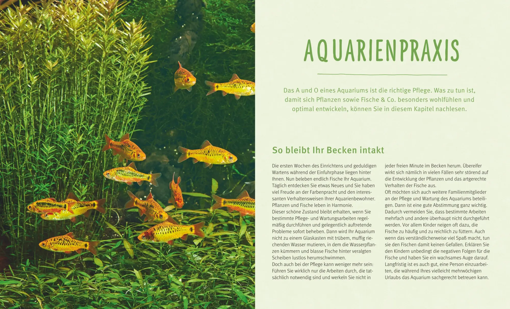Bild: 9783833855108 | Das Aquarium | Bunter Mikrokosmos unter Wasser | Axel Gutjahr | Buch