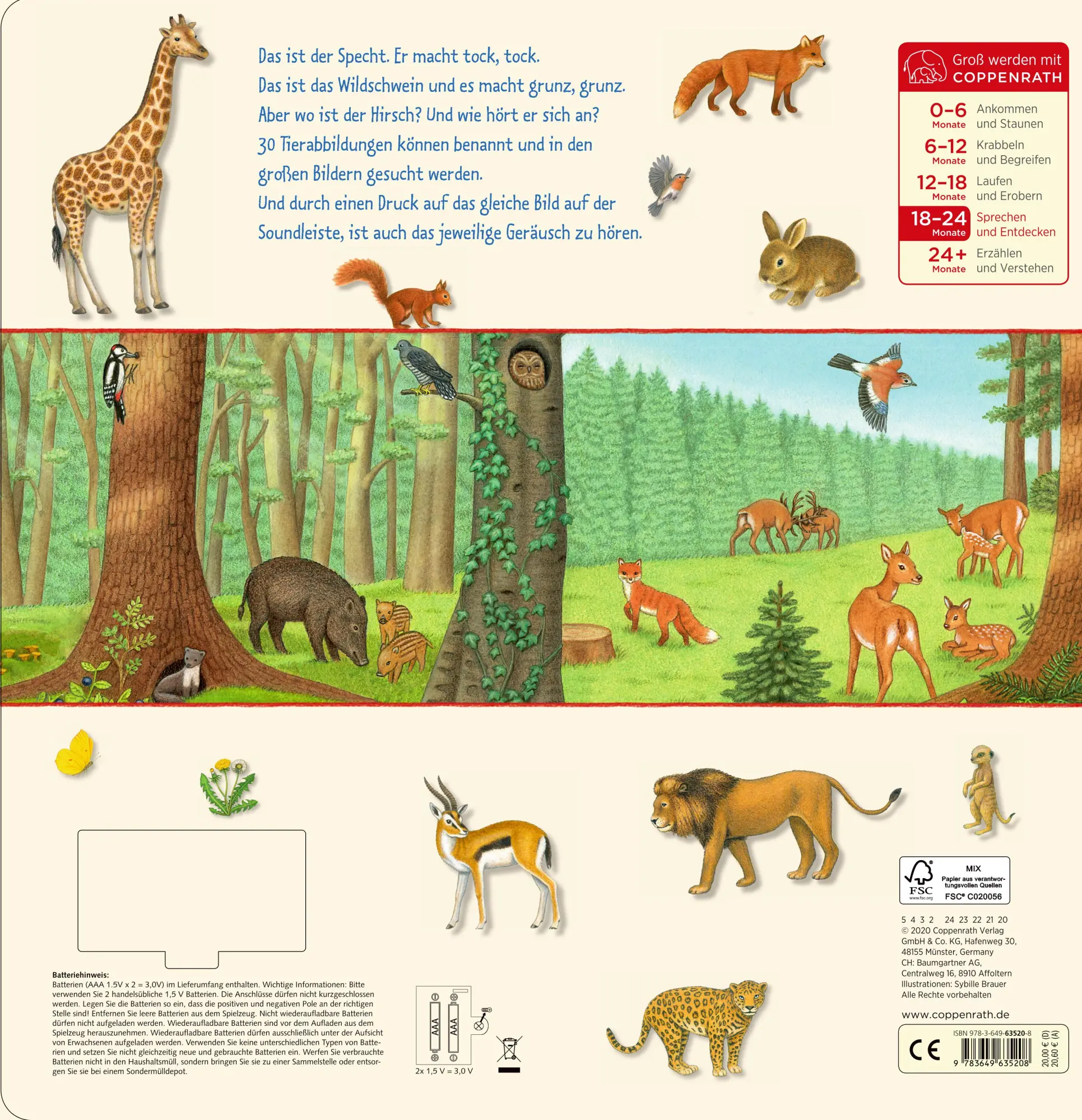 Rückseite: 9783649635208 | So viele Tierstimmen | Sybille Brauer | Buch | 12 S. | Deutsch | 2020