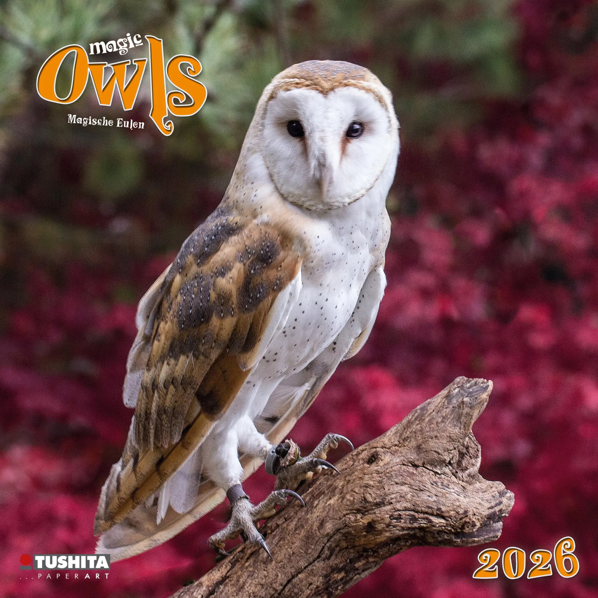 Cover: 9783959295208 | Magic Owls 2026 | Kalender 2026 | Kalender | Wonderful World | 28 S.