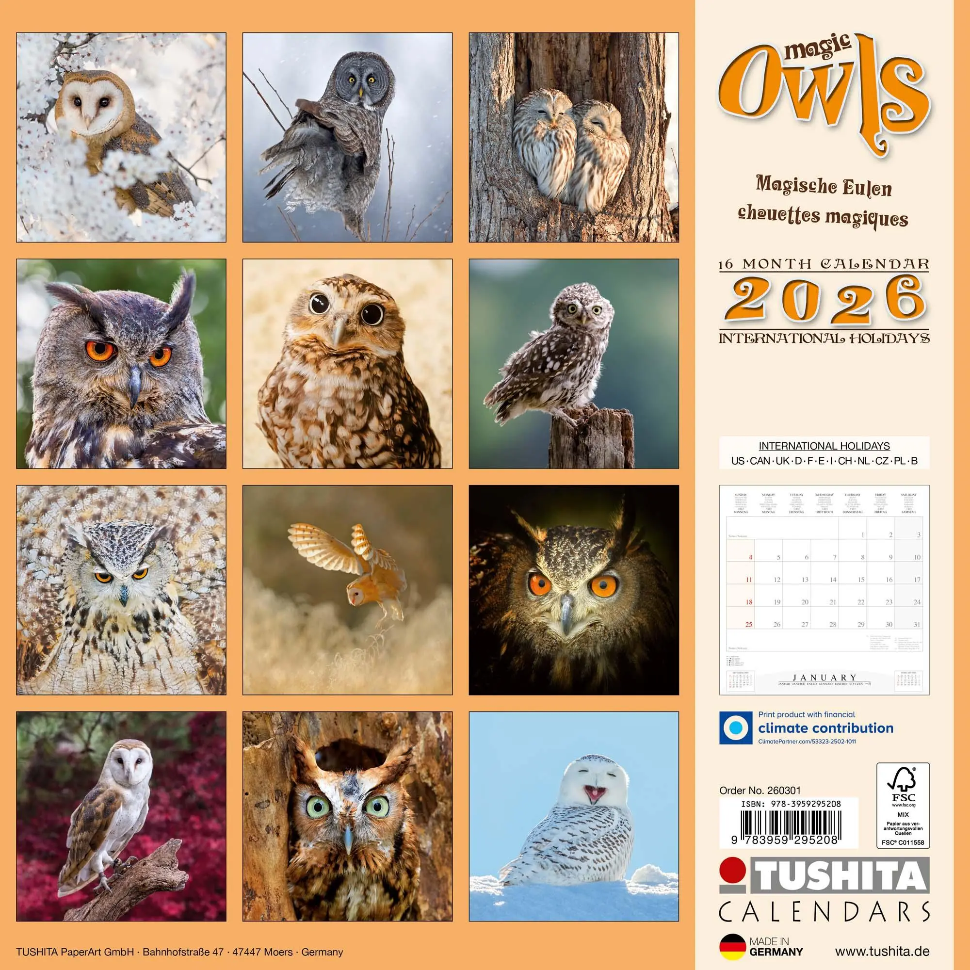 Rückseite: 9783959295208 | Magic Owls 2026 | Kalender 2026 | Kalender | Wonderful World | 28 S.