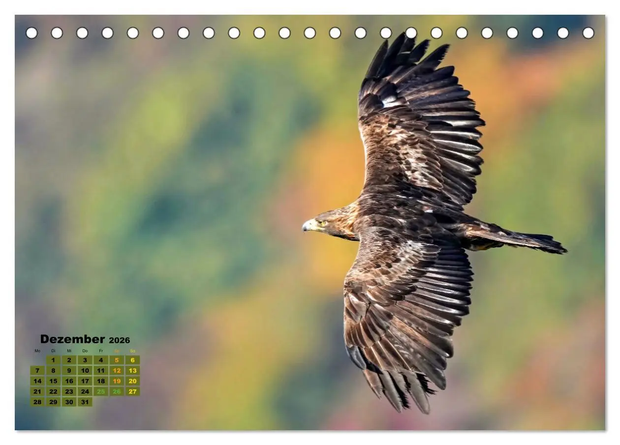 Bild: 9783457495308 | Big Five der Alpen Gämse, Steinbock, Murmeltier, Steinadler,...