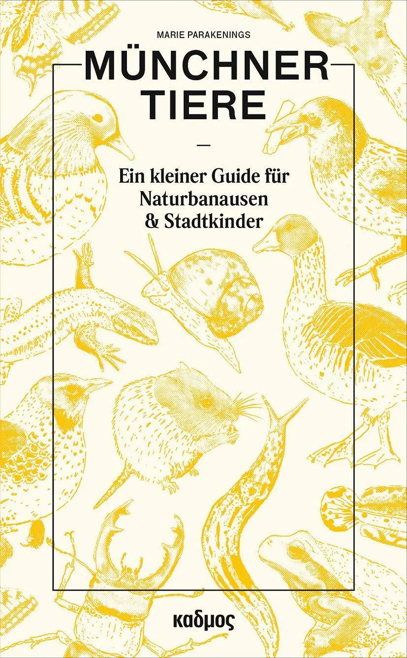Cover: 9783865995308 | Münchner Tiere | Ein kleiner Guide für Naturbanausen und Stadtkinder