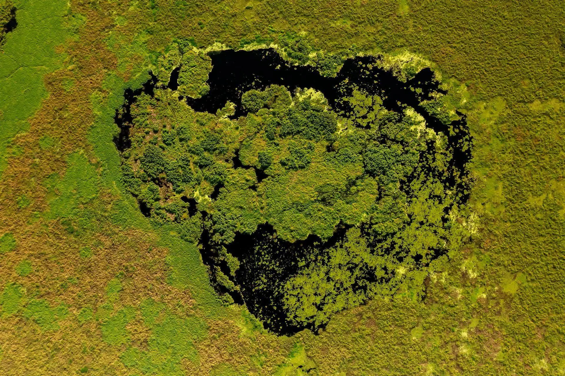 Bild: 9783982645308 | Pantanal | Leben im Zyklus von Überschwemmung und Dürre | Köppert