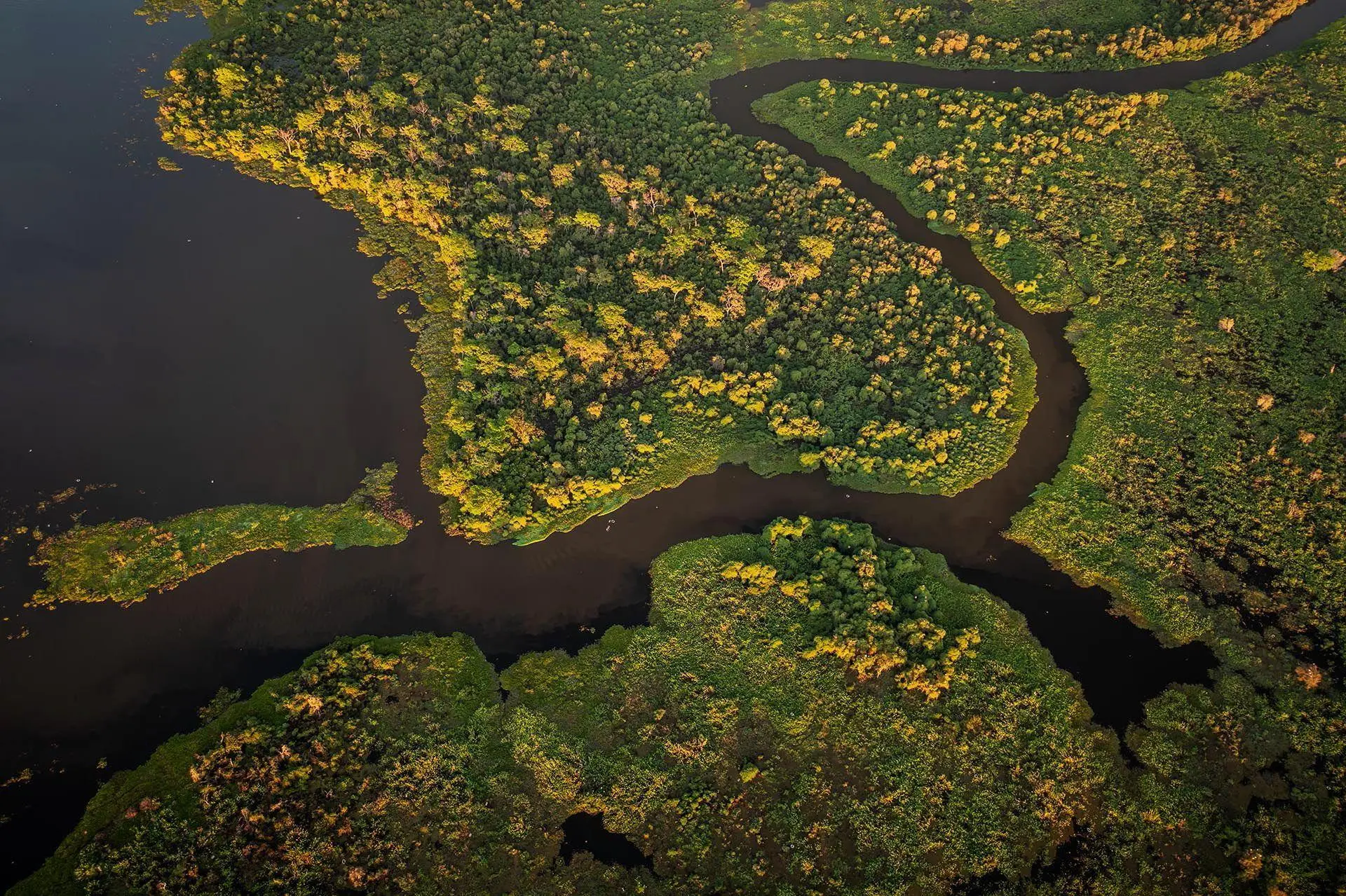 Bild: 9783982645308 | Pantanal | Leben im Zyklus von Überschwemmung und Dürre | Köppert