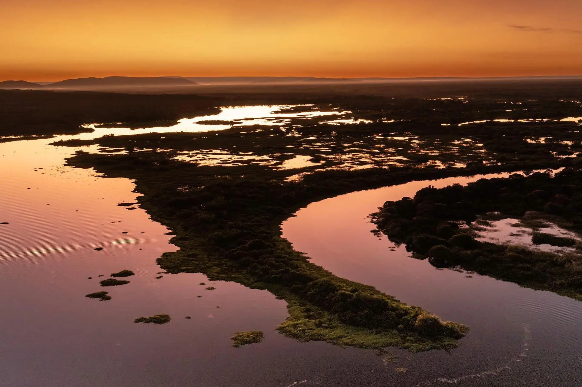 Bild: 9783982645308 | Pantanal | Leben im Zyklus von Überschwemmung und Dürre | Köppert