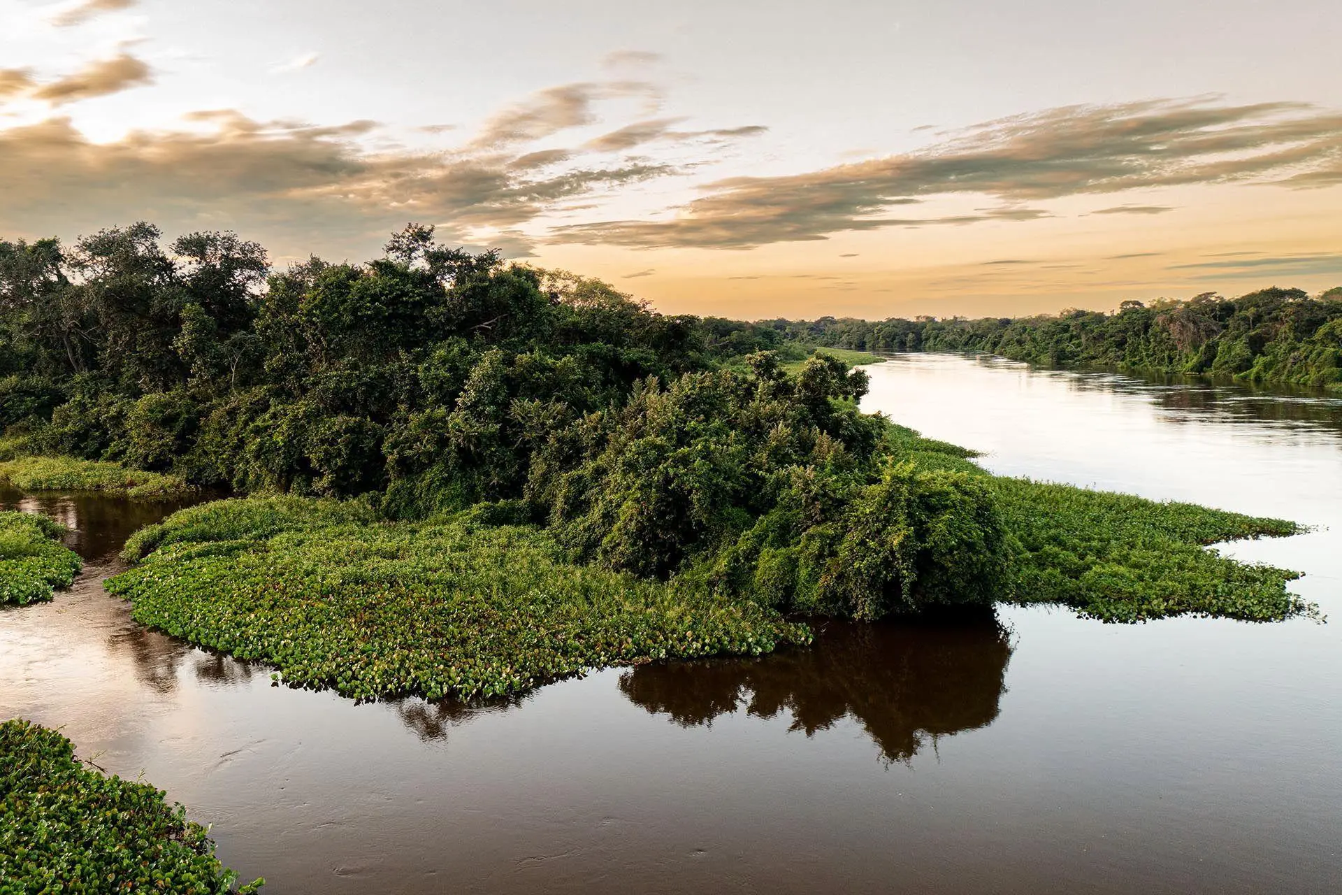 Bild: 9783982645308 | Pantanal | Leben im Zyklus von Überschwemmung und Dürre | Köppert
