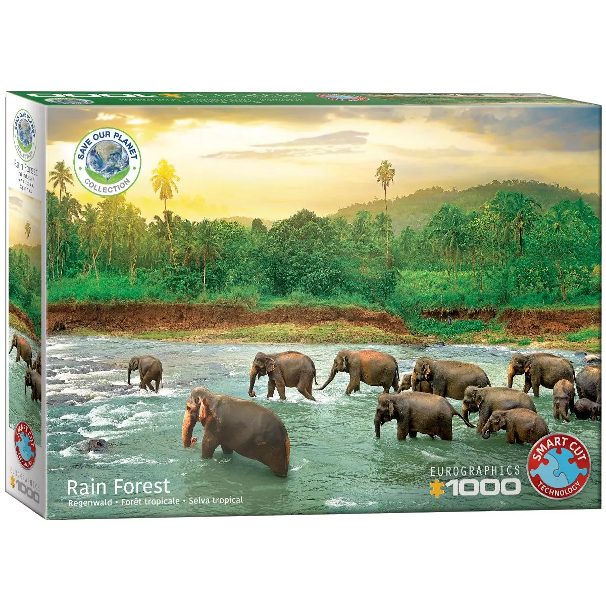 Cover: 628136655408 | Regenwald | Spiel | 6000-5540 | Deutsch | 2022 | Eurographics s.r.o