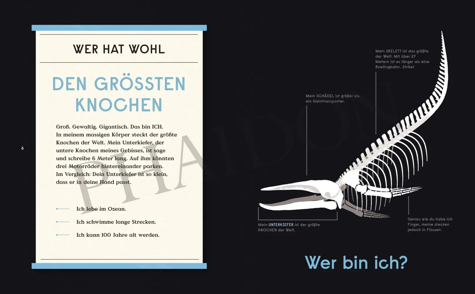 Bild: 9780714875408 | Das Buch der Knochen | 10 tierische Rekorde | Buch | 48 S. | Deutsch