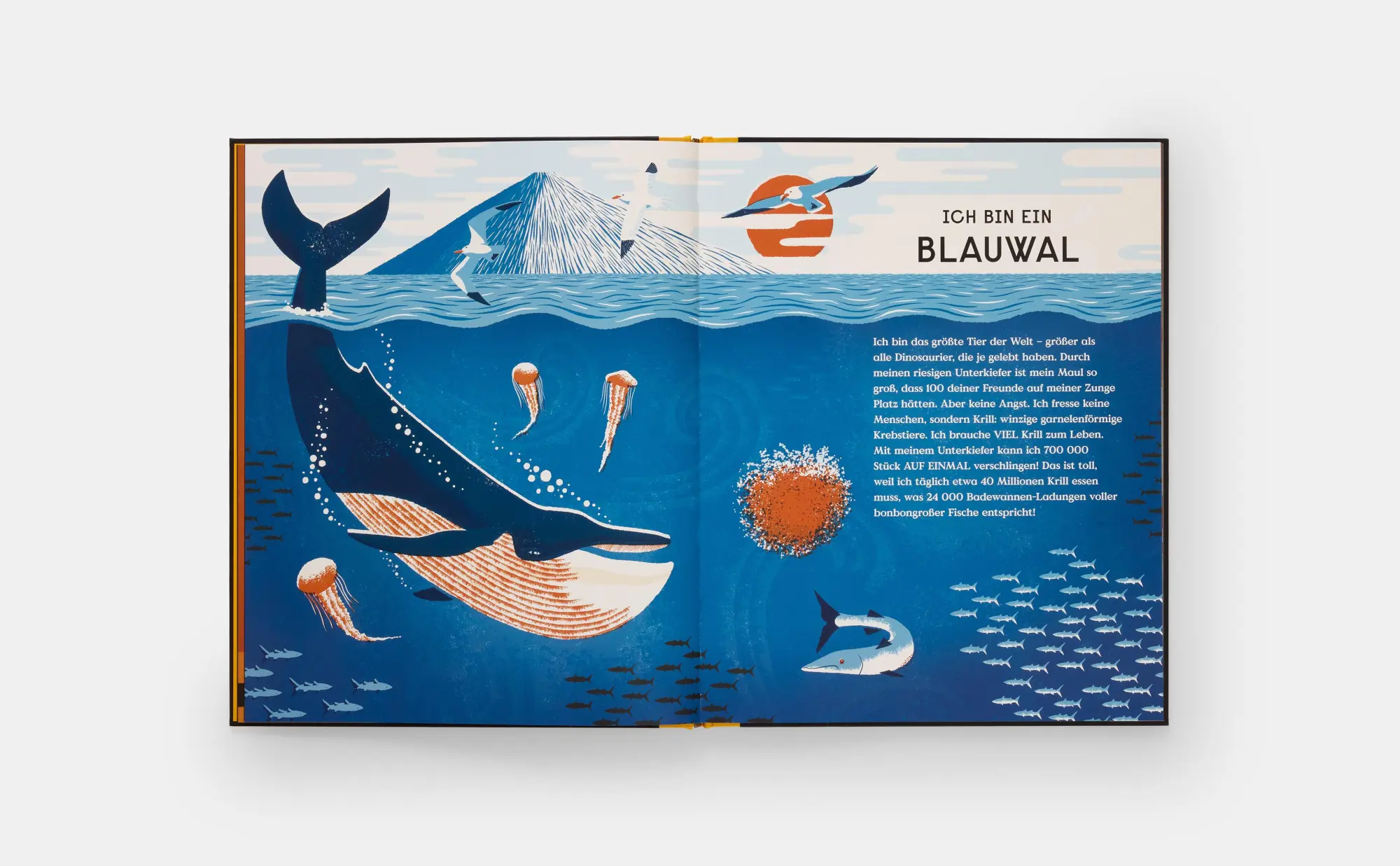 Bild: 9780714875408 | Das Buch der Knochen | 10 tierische Rekorde | Buch | 48 S. | Deutsch