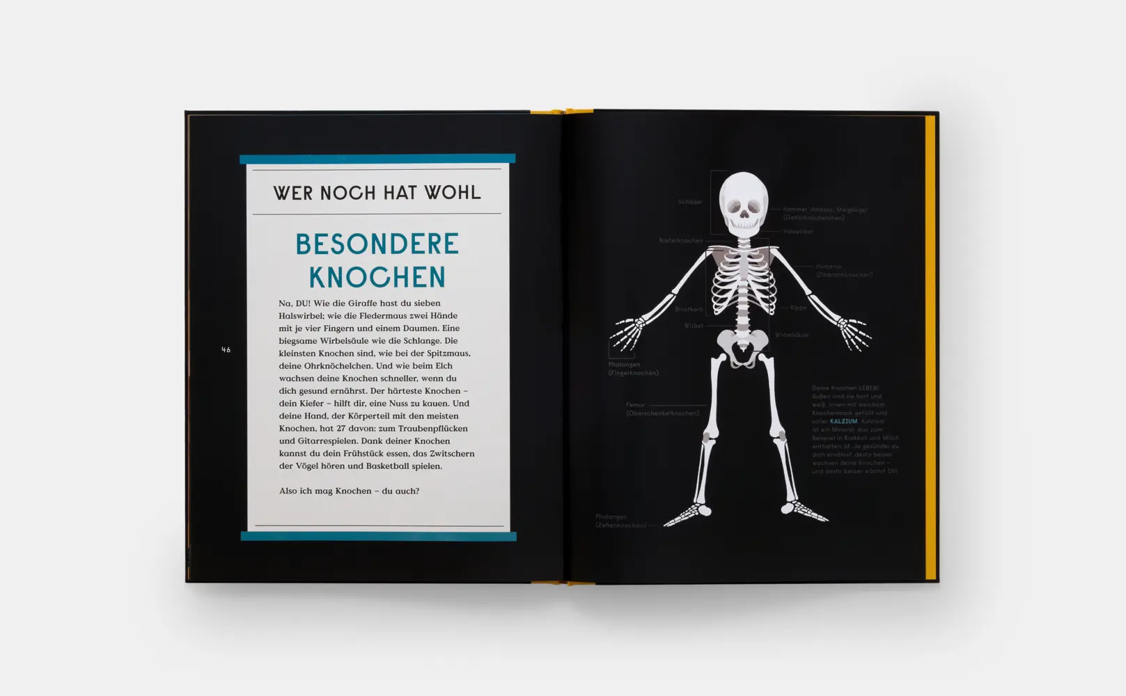 Bild: 9780714875408 | Das Buch der Knochen | 10 tierische Rekorde | Buch | 48 S. | Deutsch