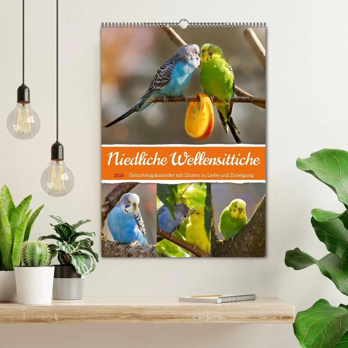Bild: 9783516335408 | Niedliche Wellensittiche (Wandkalender 2026 DIN A2 hoch), CALVENDO...