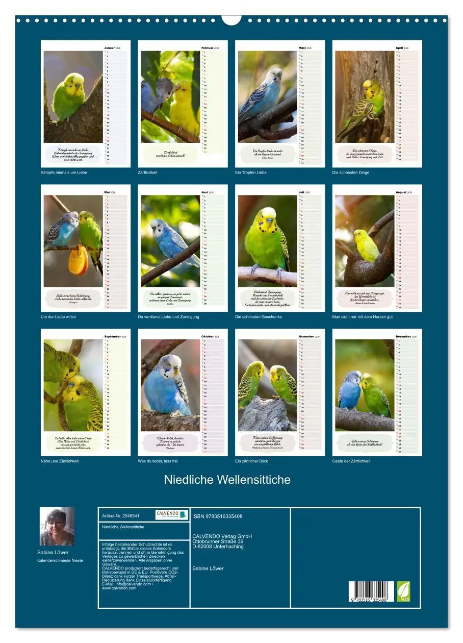Bild: 9783516335408 | Niedliche Wellensittiche (Wandkalender 2026 DIN A2 hoch), CALVENDO...