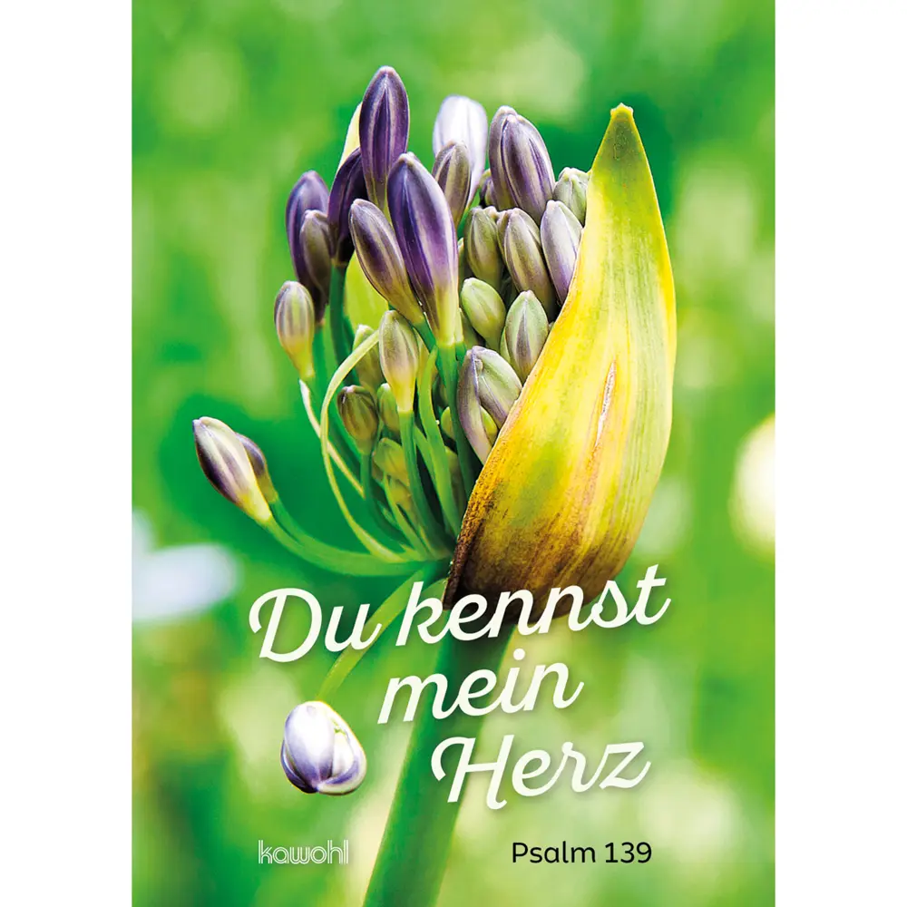 Cover: 9783863385408 | Du kennst mein Herz | Broschüre | 16 S. | Deutsch | 2026 | Kawohl